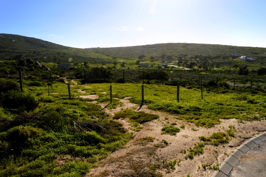 0 Bedroom Property for Sale in Steenbergs Cove Western Cape